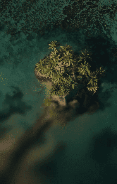 FIJI
