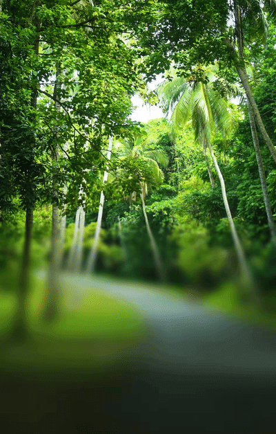 EQUATORIAL GUINEA