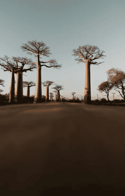 MADAGASCAR